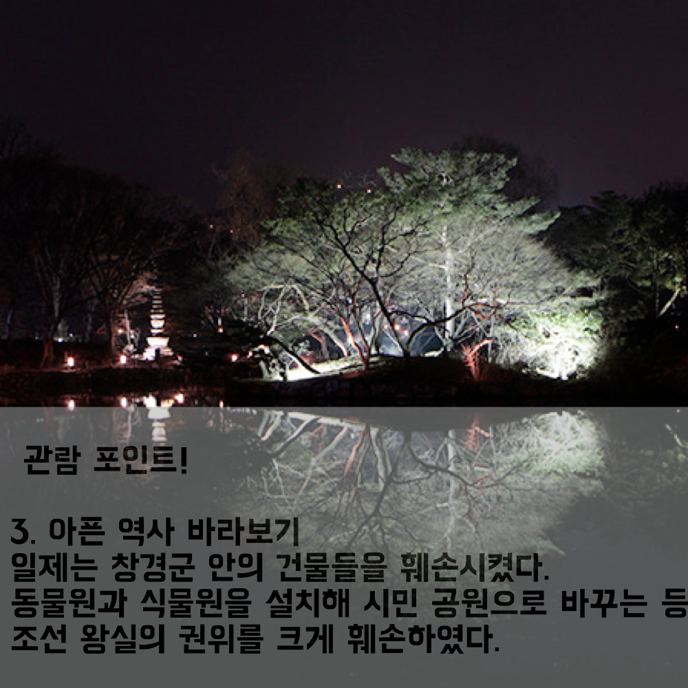 20160314_201603_창경궁달빛기행.015.png