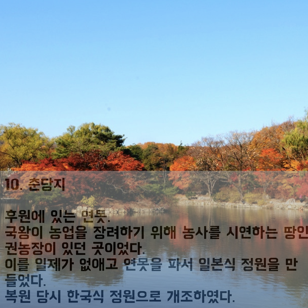 20160314_201603_창경궁달빛기행.017.png