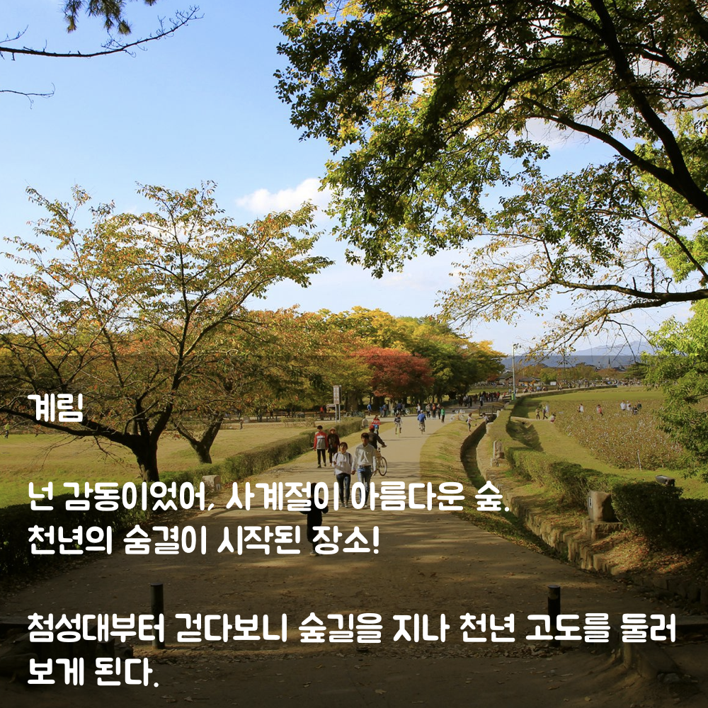 20160314_201604_경주봄사랑벚꽃말고.010.png