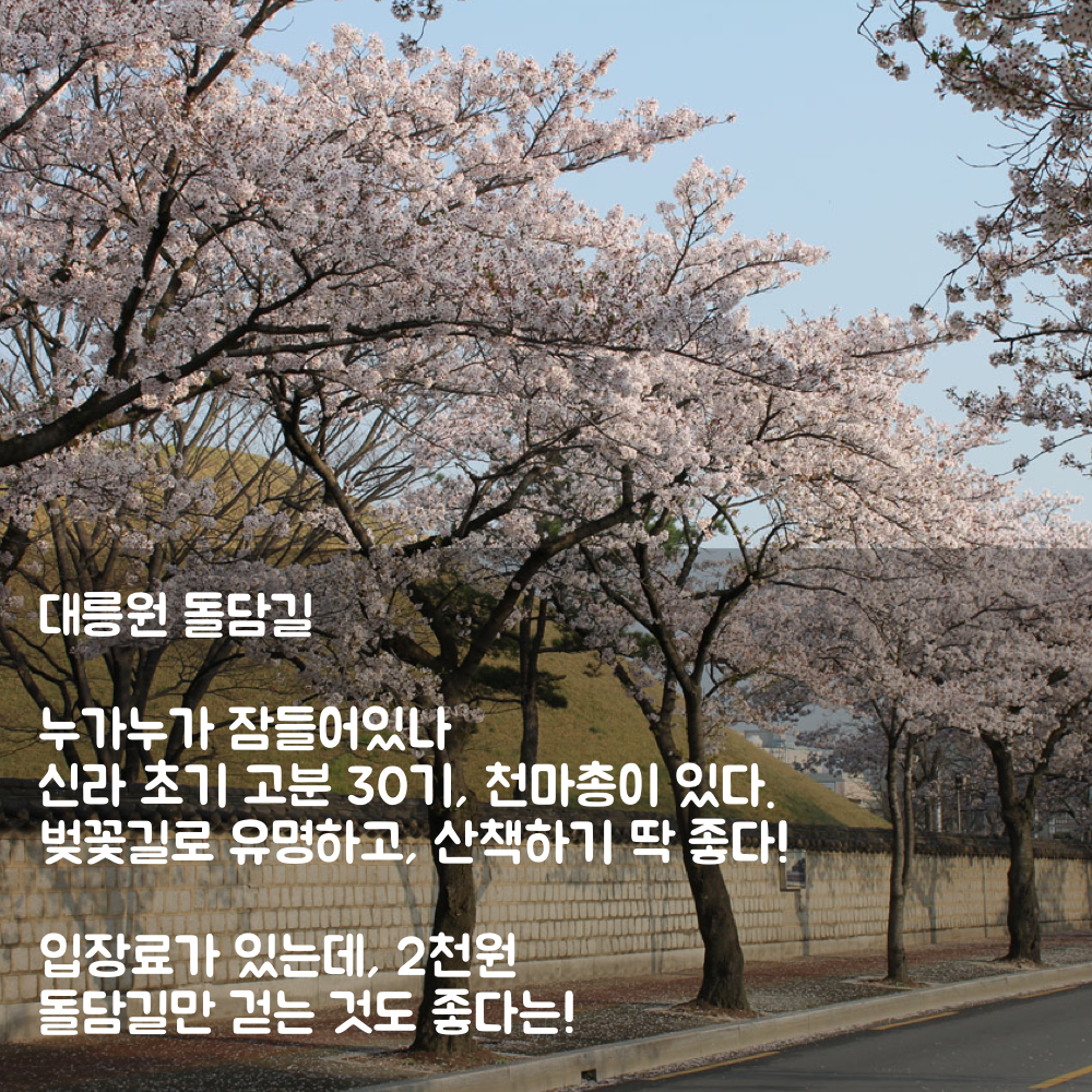 20160314_201604_경주봄사랑벚꽃말고.006.png