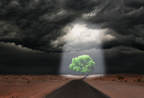 00_내 감정 받아들이기4.png