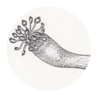 스크린샷 2016-02-23 오후 5.04.18.png