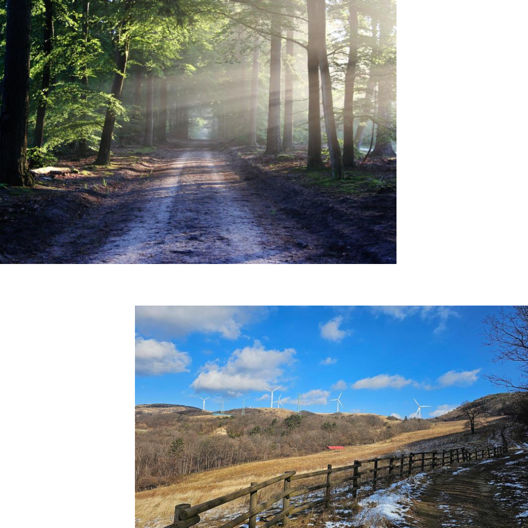 제목을 입력해주세요_-001 - 2024-05-09T102950.223.png