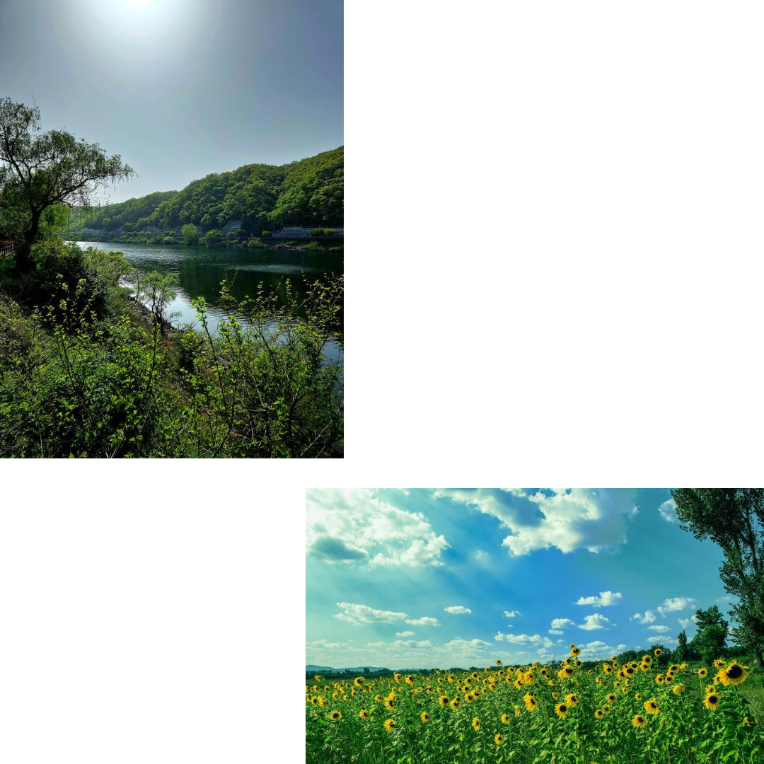 제목을 입력해주세요_-001 (100).png