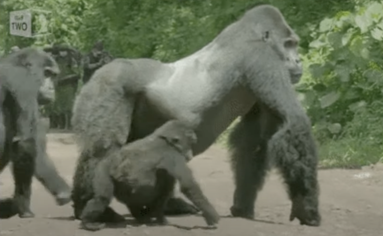 Screen Shot 2023-03-08 at 11.29.27 PM.png