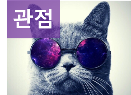 관점.png