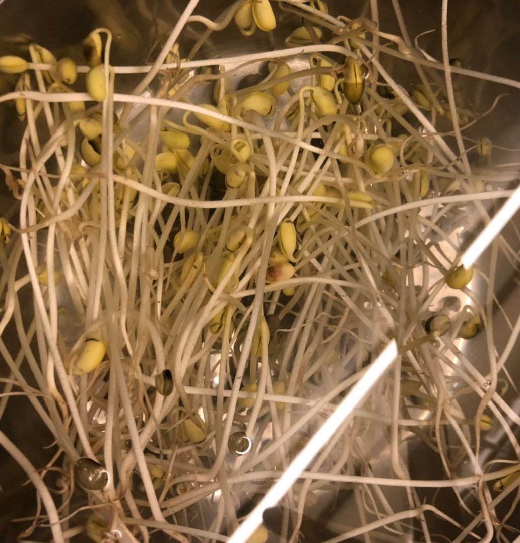 스크린샷 2023-03-12 오전 6.06.40.png