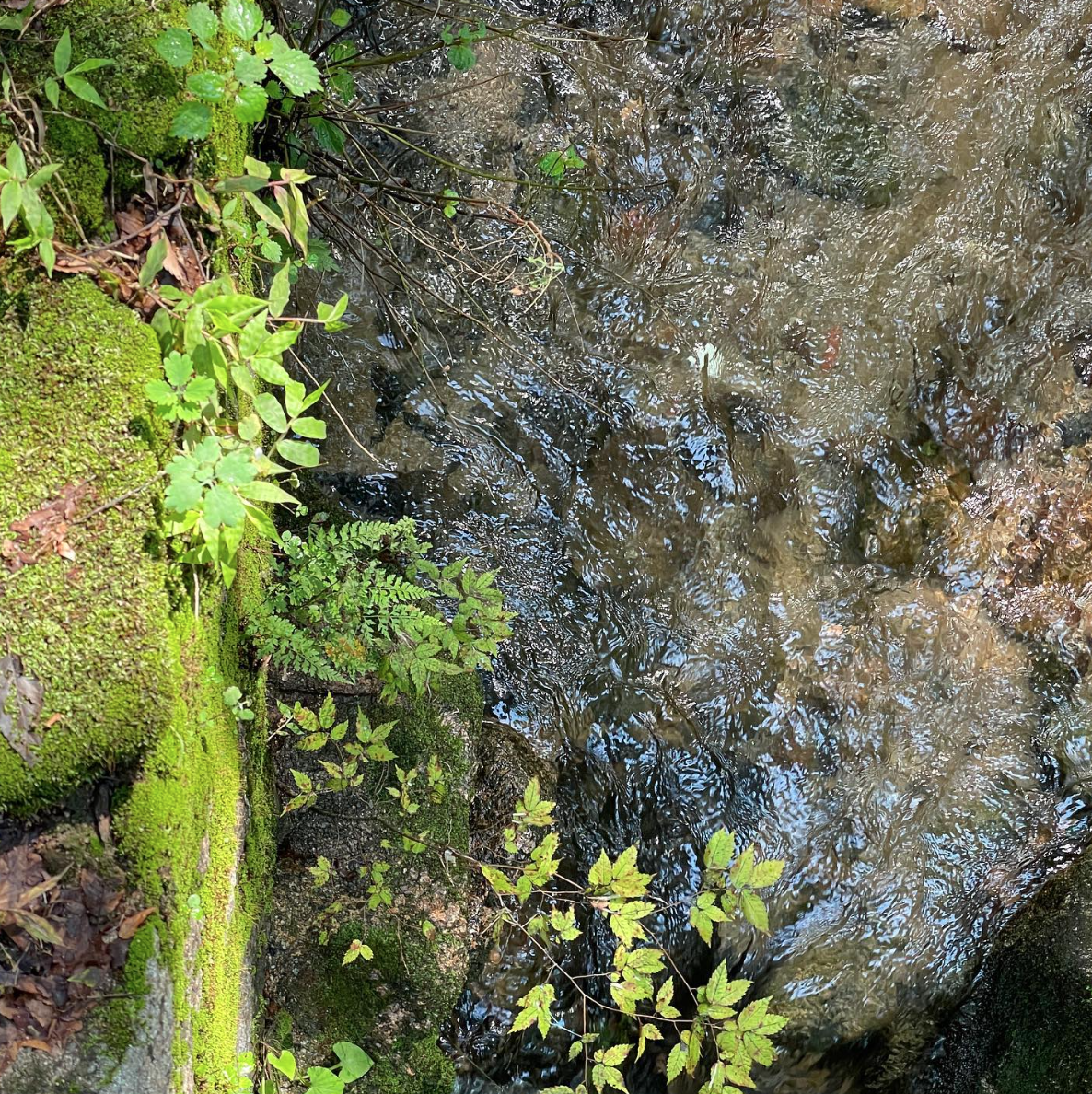 스크린샷 2025-07-07 오전 6.42.20.png