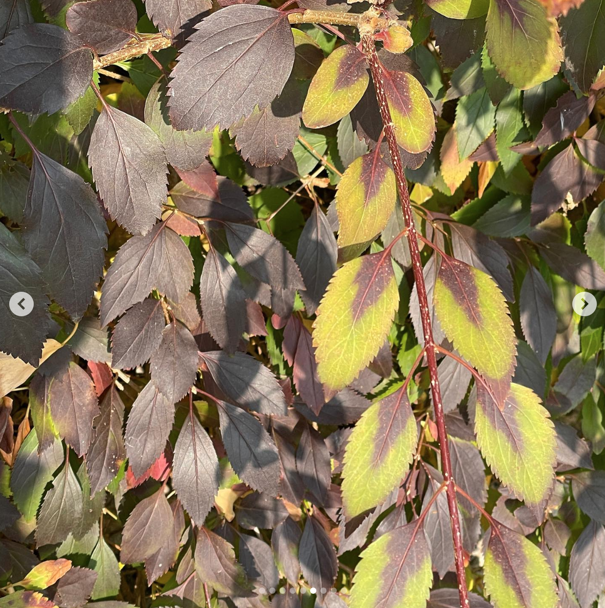 스크린샷 2025-08-21 오전 10.41.22.png