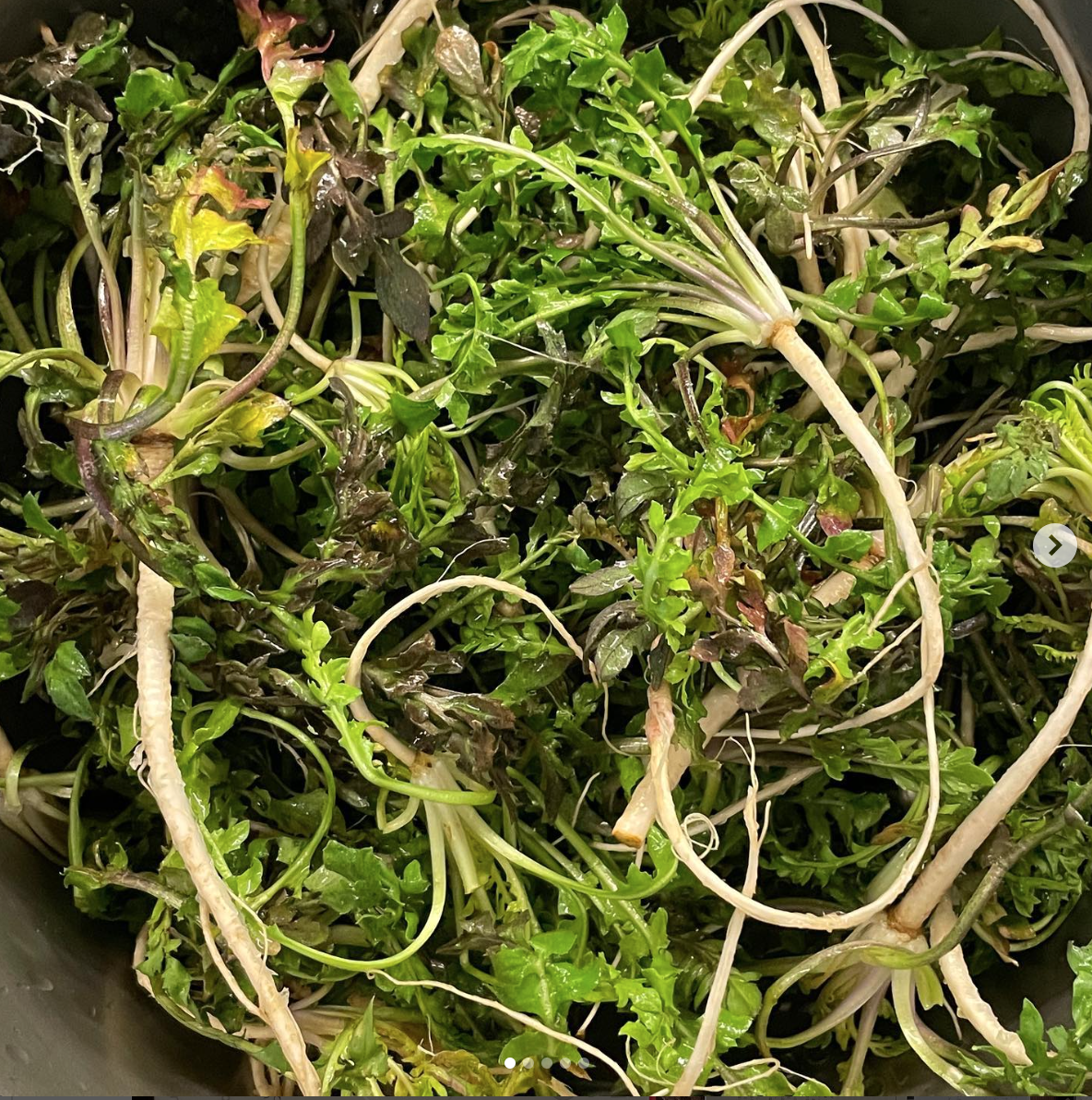 스크린샷 2025-08-21 오전 11.55.19.png