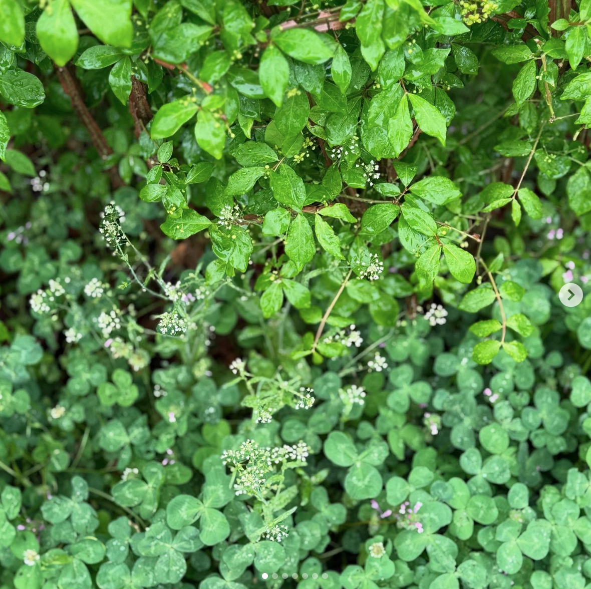 스크린샷 2025-08-21 오후 1.59.45.png