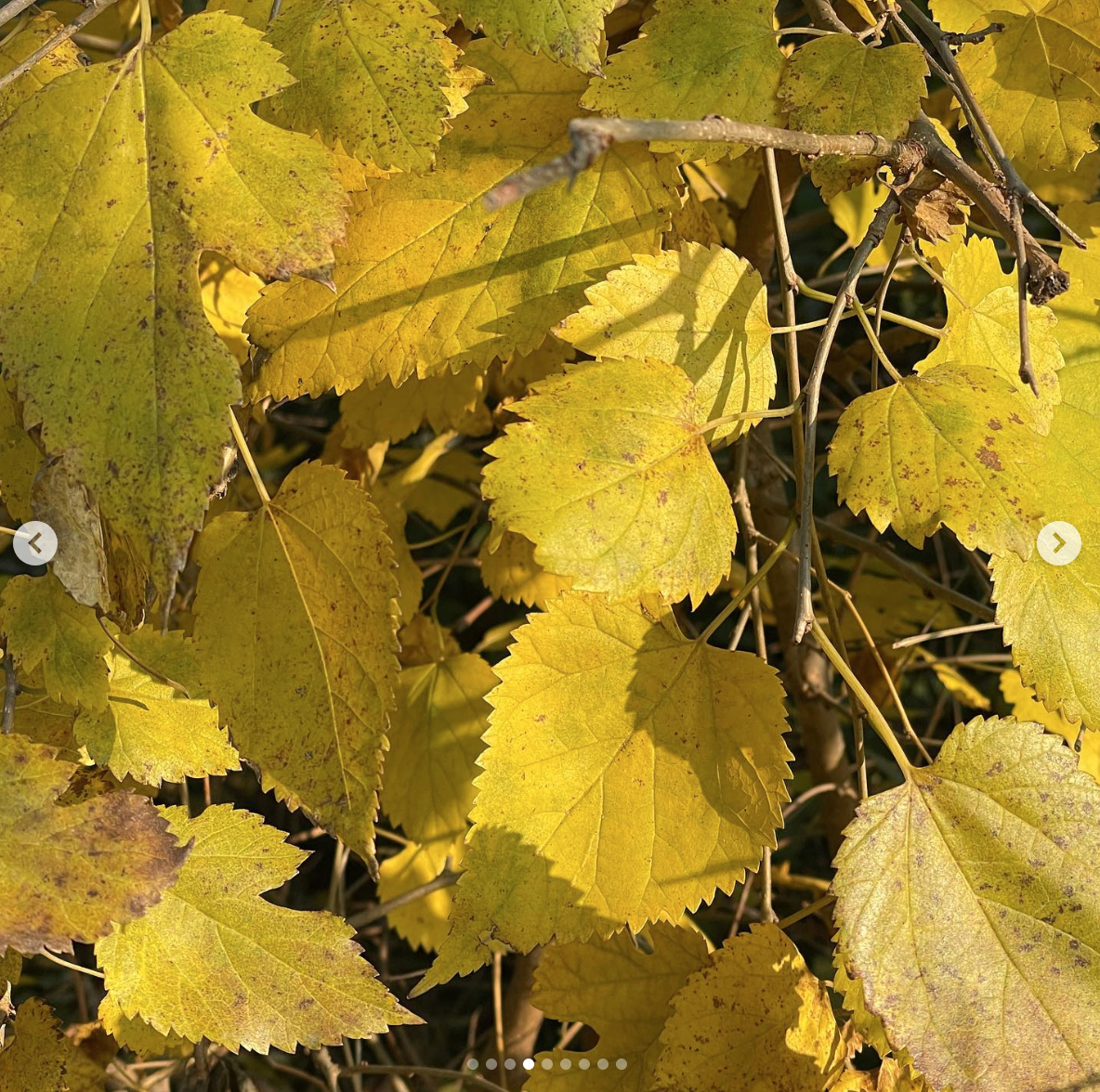 스크린샷 2025-08-21 오전 10.41.00.png