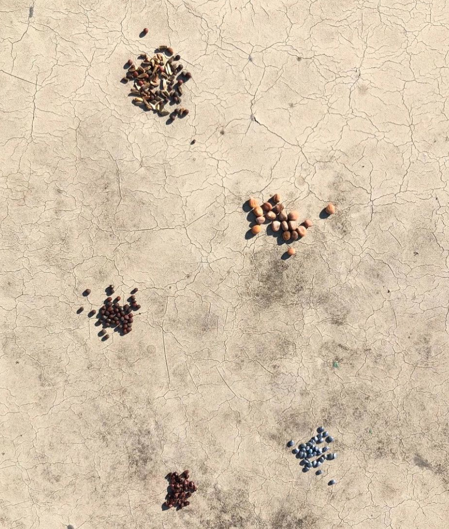 스크린샷 2023-03-12 오전 6.27.29.png