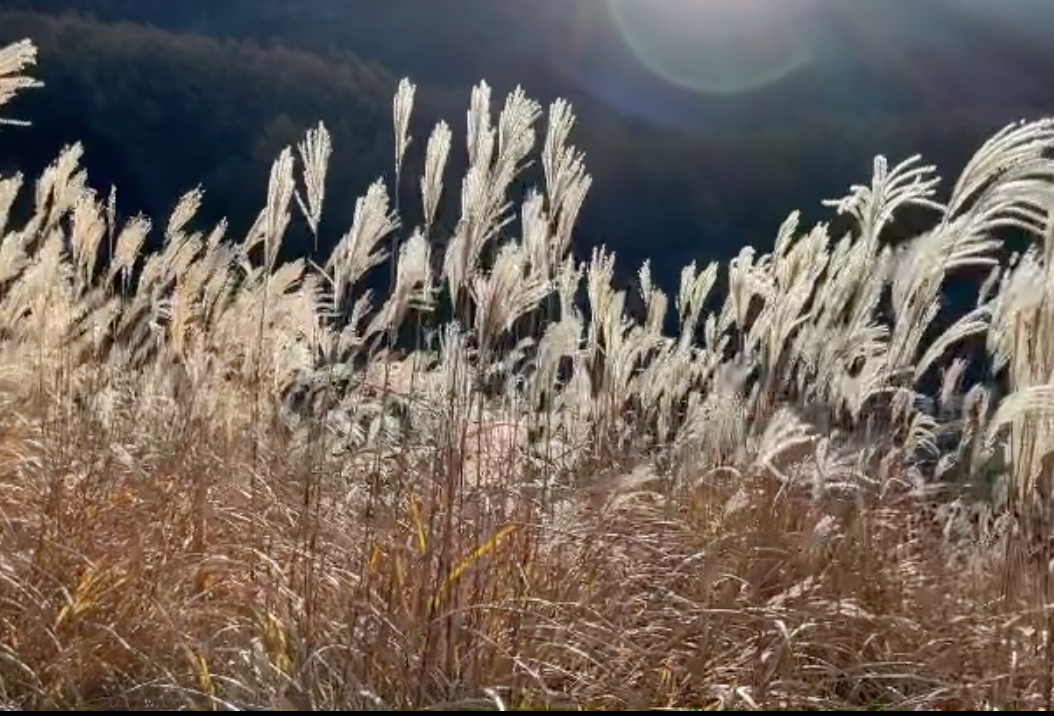 스크린샷 2023-03-12 오전 6.10.37.png