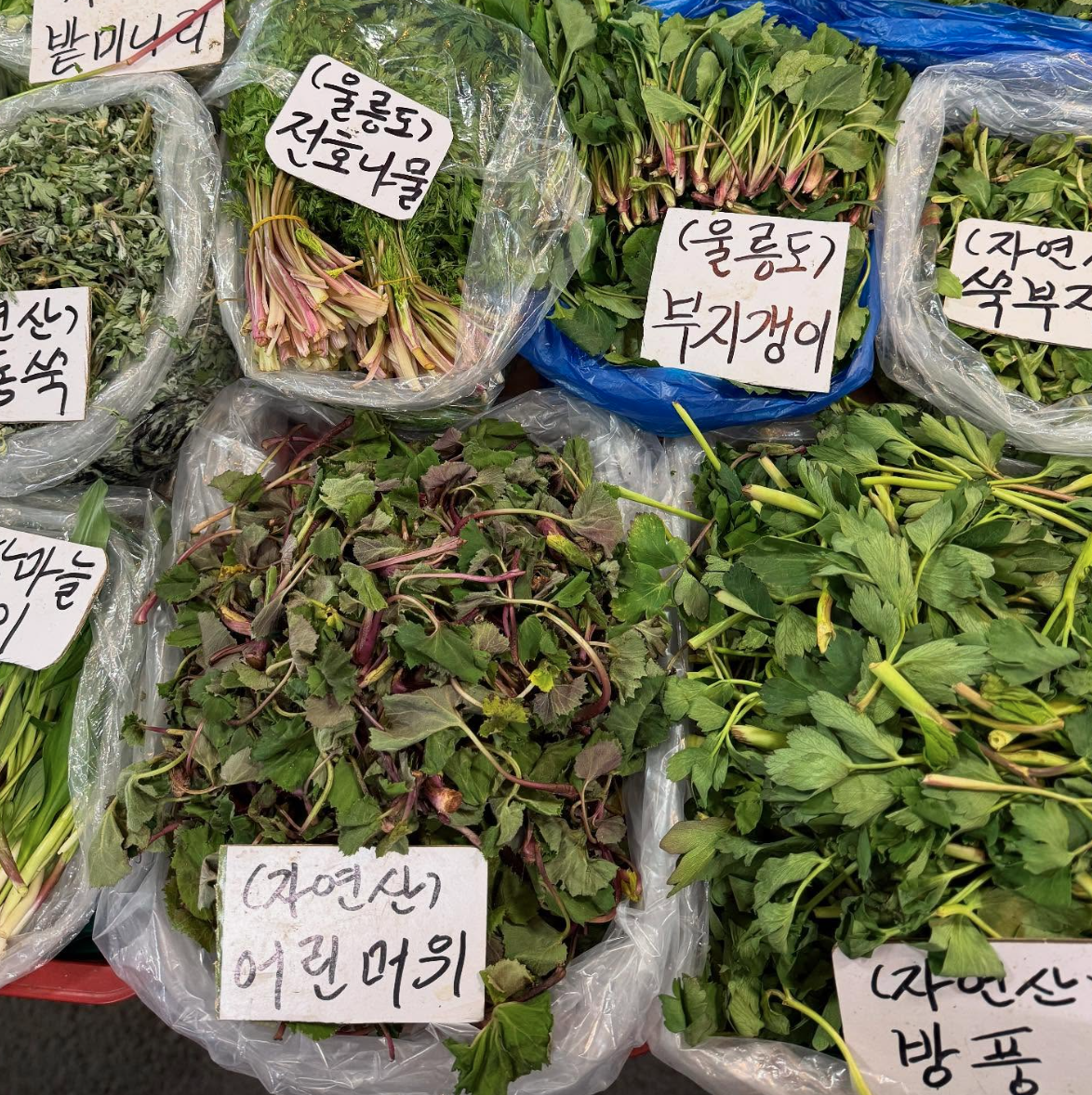 스크린샷 2025-08-21 오후 2.03.03.png