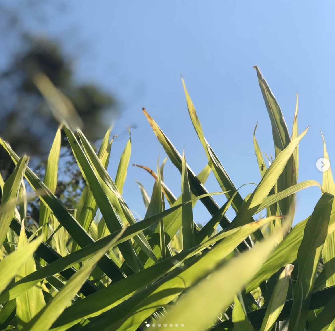 스크린샷 2025-08-21 오후 12.16.38.png