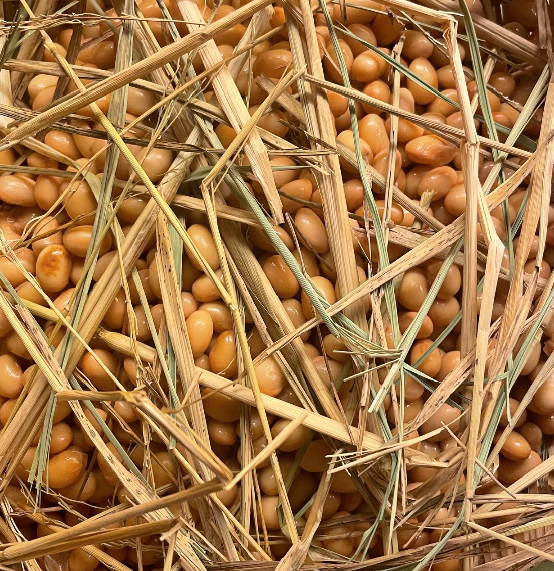 스크린샷 2022-03-01 오전 3.35.53.png