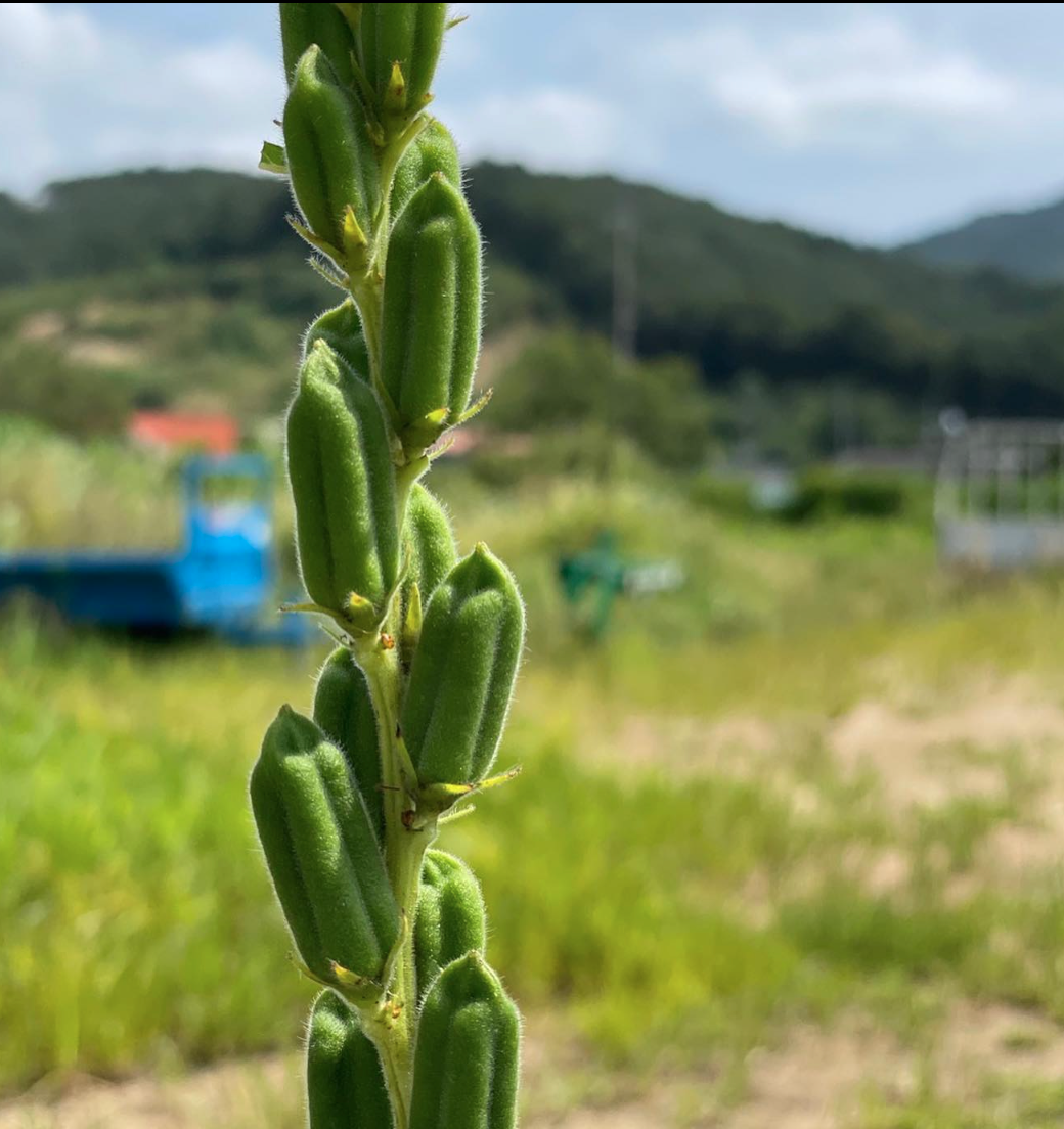 스크린샷 2023-03-12 오전 6.22.28.png