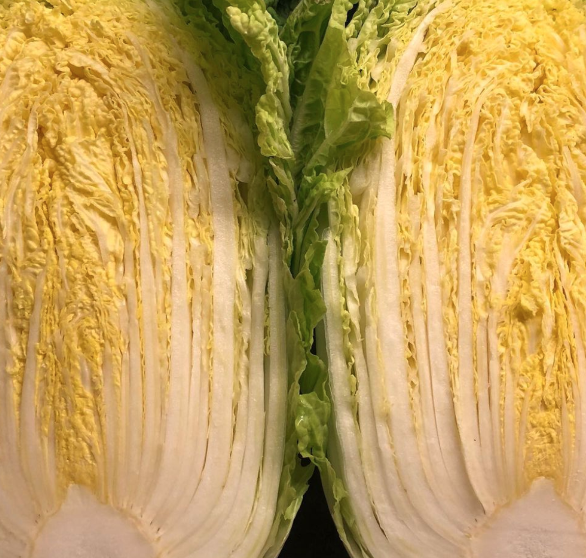 스크린샷 2022-03-01 오전 3.17.30.png