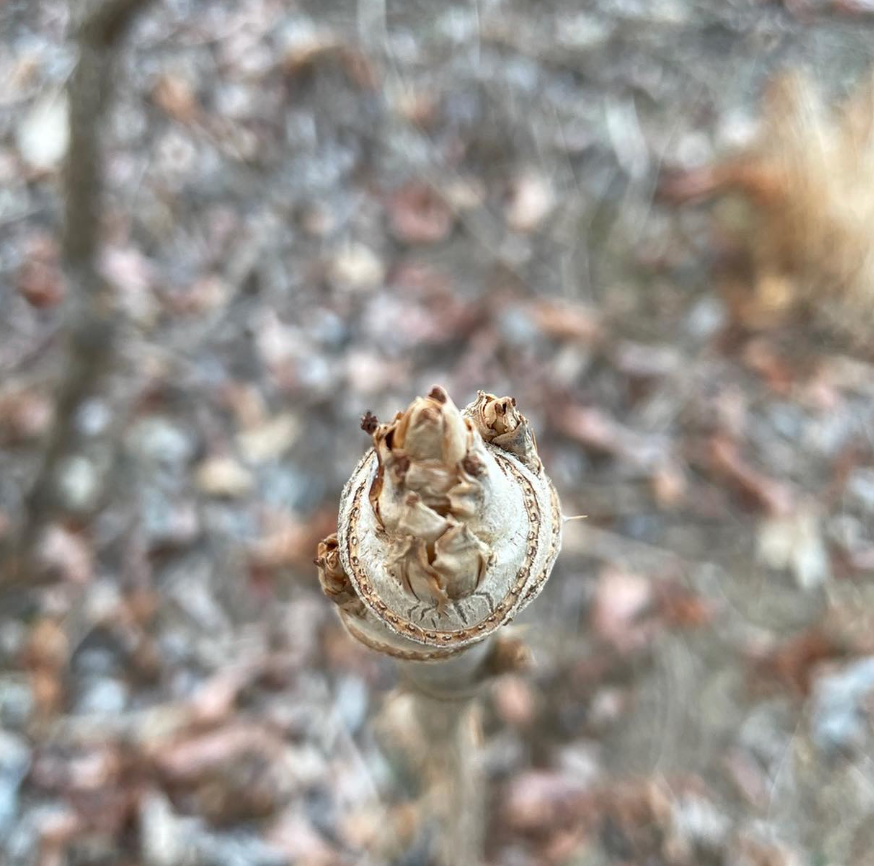 스크린샷 2022-10-17 오전 5.28.20.png