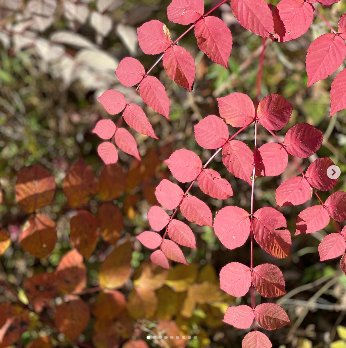 스크린샷 2025-08-21 오전 10.40.50.png