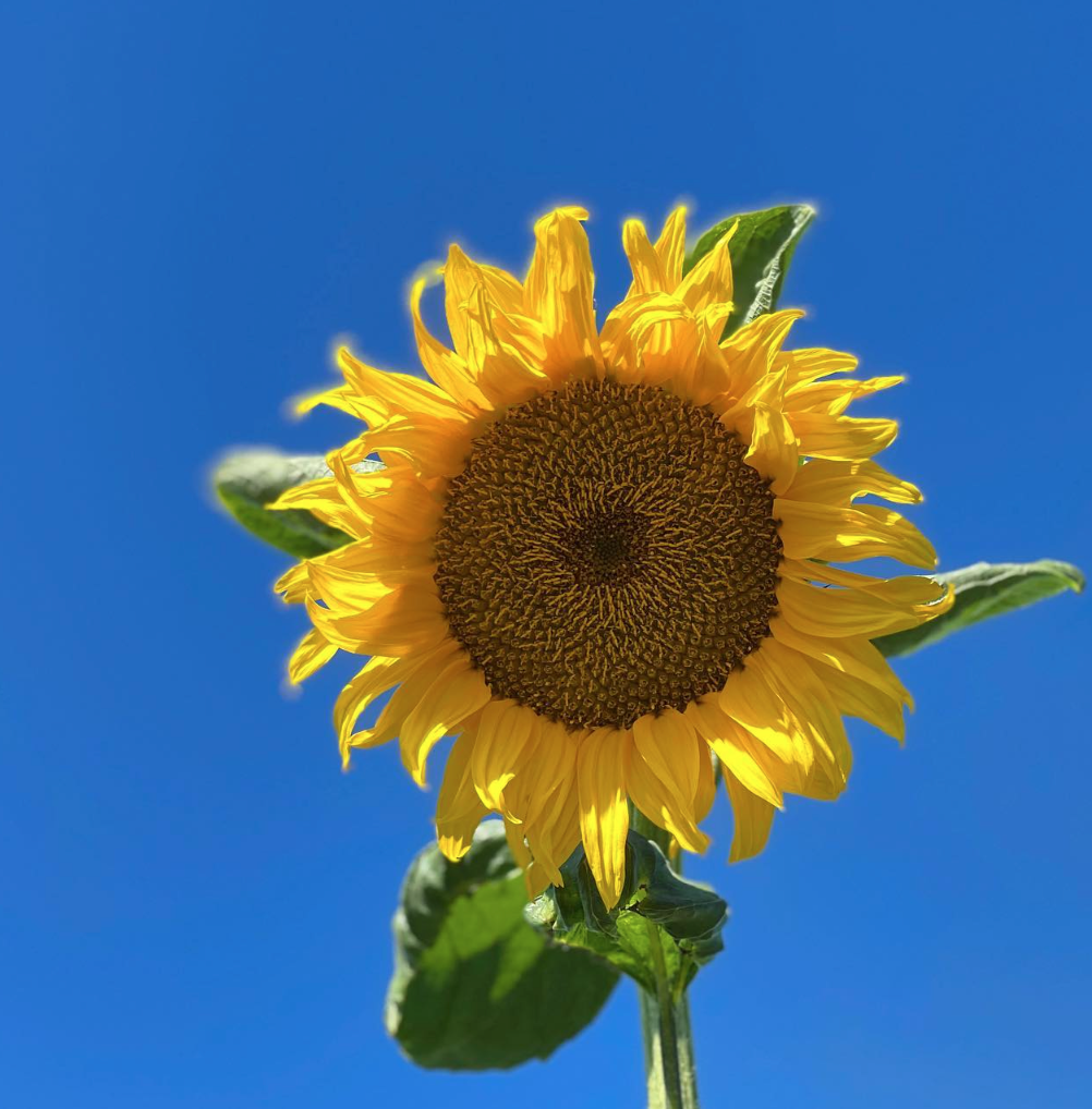 스크린샷 2023-03-12 오전 6.01.29.png