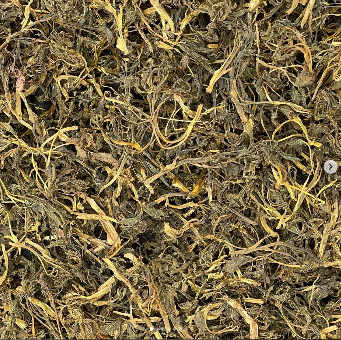 스크린샷 2025-08-21 오후 12.55.50.png