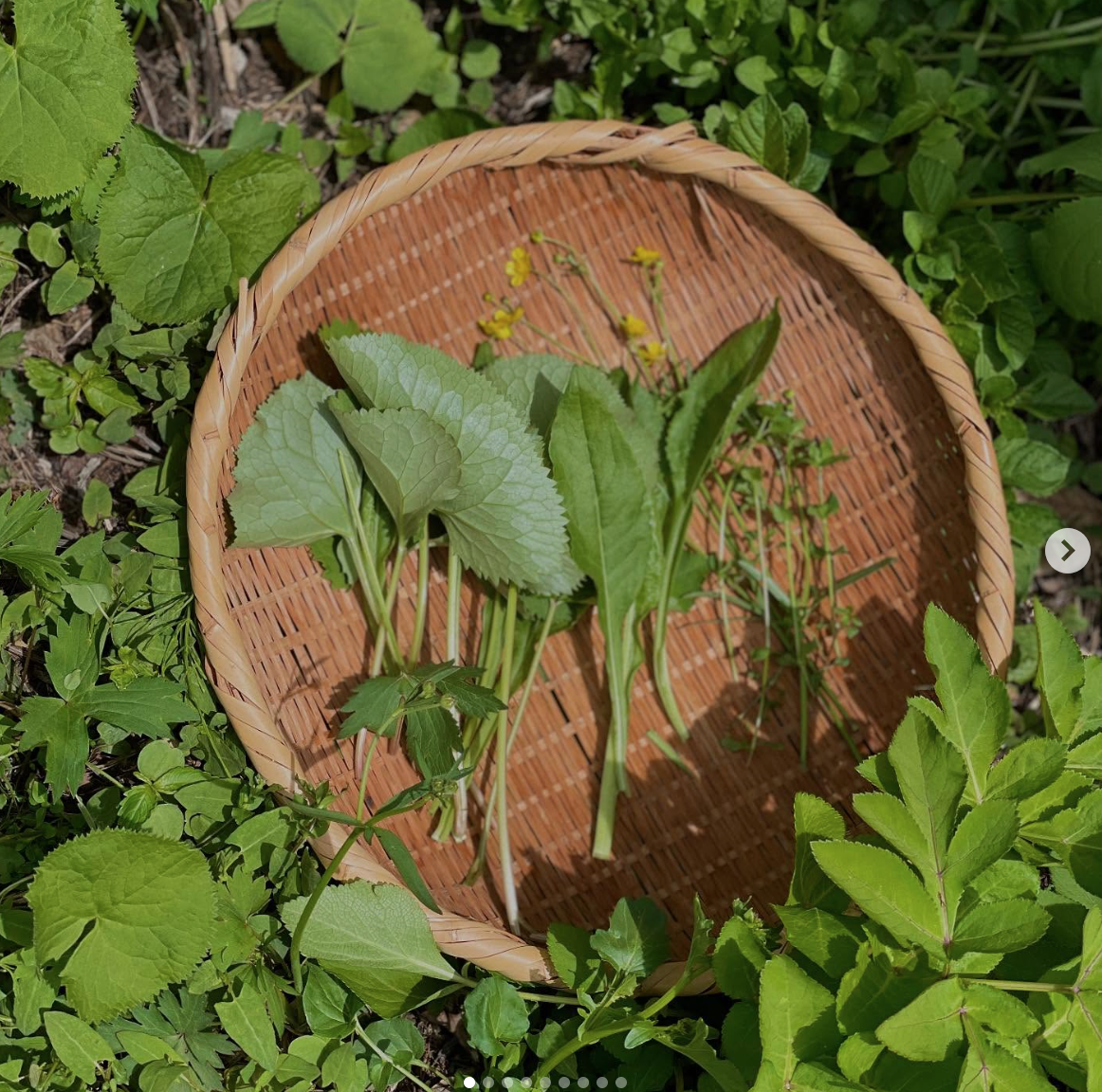 스크린샷 2025-08-21 오후 2.07.40.png