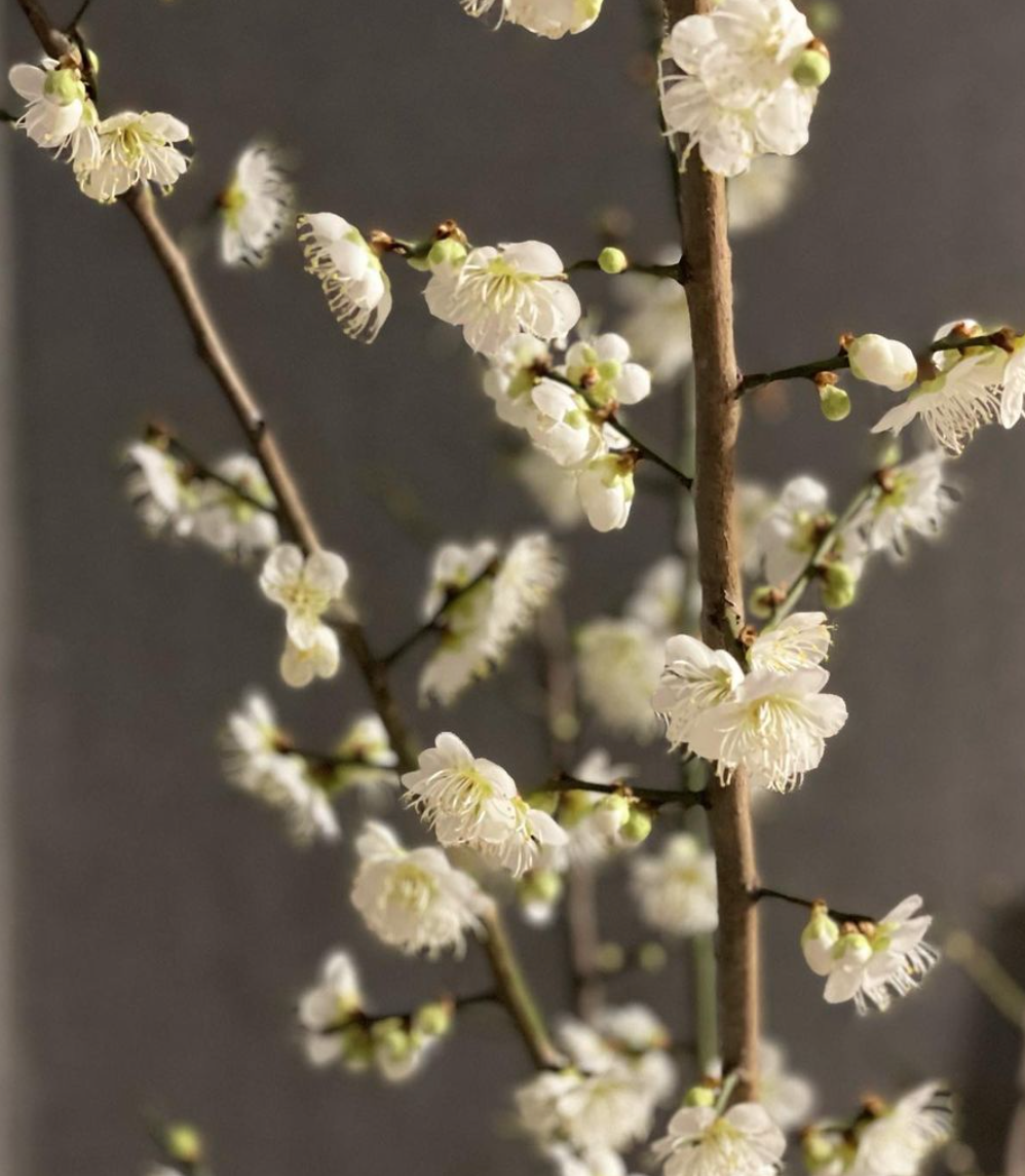 스크린샷 2022-03-01 오전 3.46.02.png