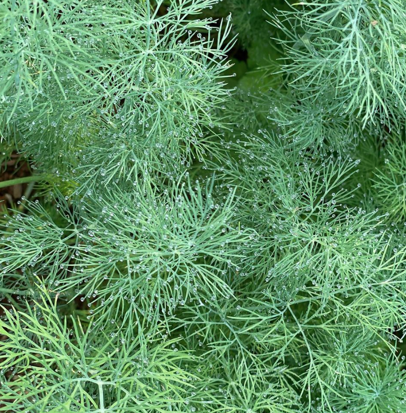 스크린샷 2022-10-17 오전 5.37.04.png