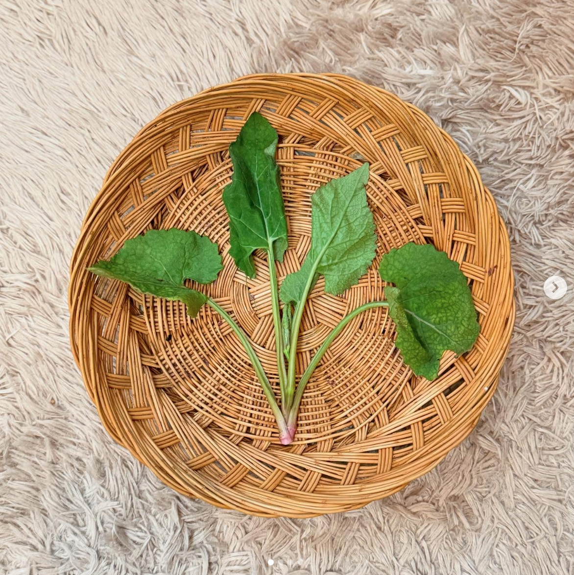 스크린샷 2025-08-21 오후 2.03.24.png