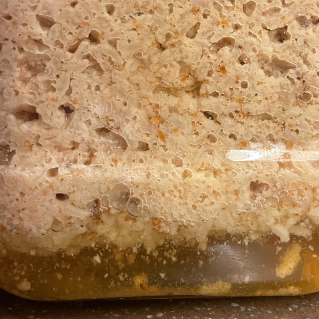 스크린샷 2022-03-01 오전 3.36.14.png