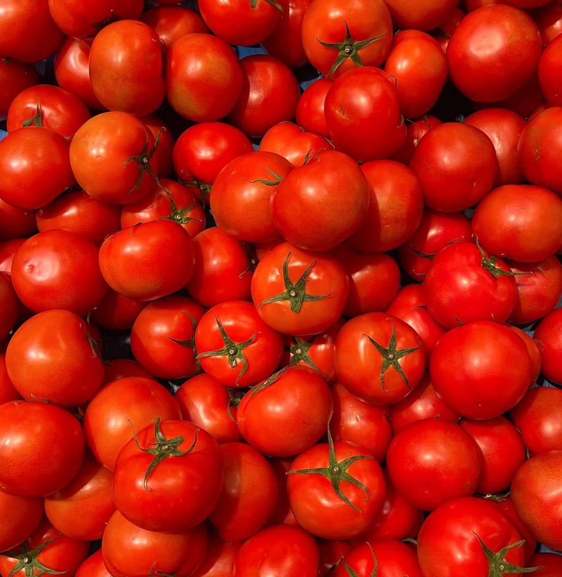 스크린샷 2025-07-07 오전 6.32.35.png