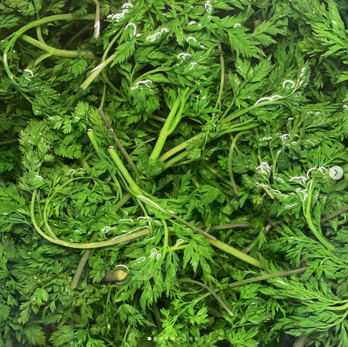 스크린샷 2025-08-21 오후 12.58.53.png