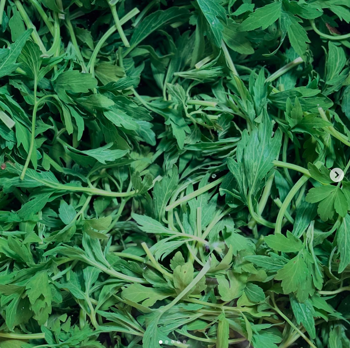 스크린샷 2025-08-21 오후 2.02.06.png