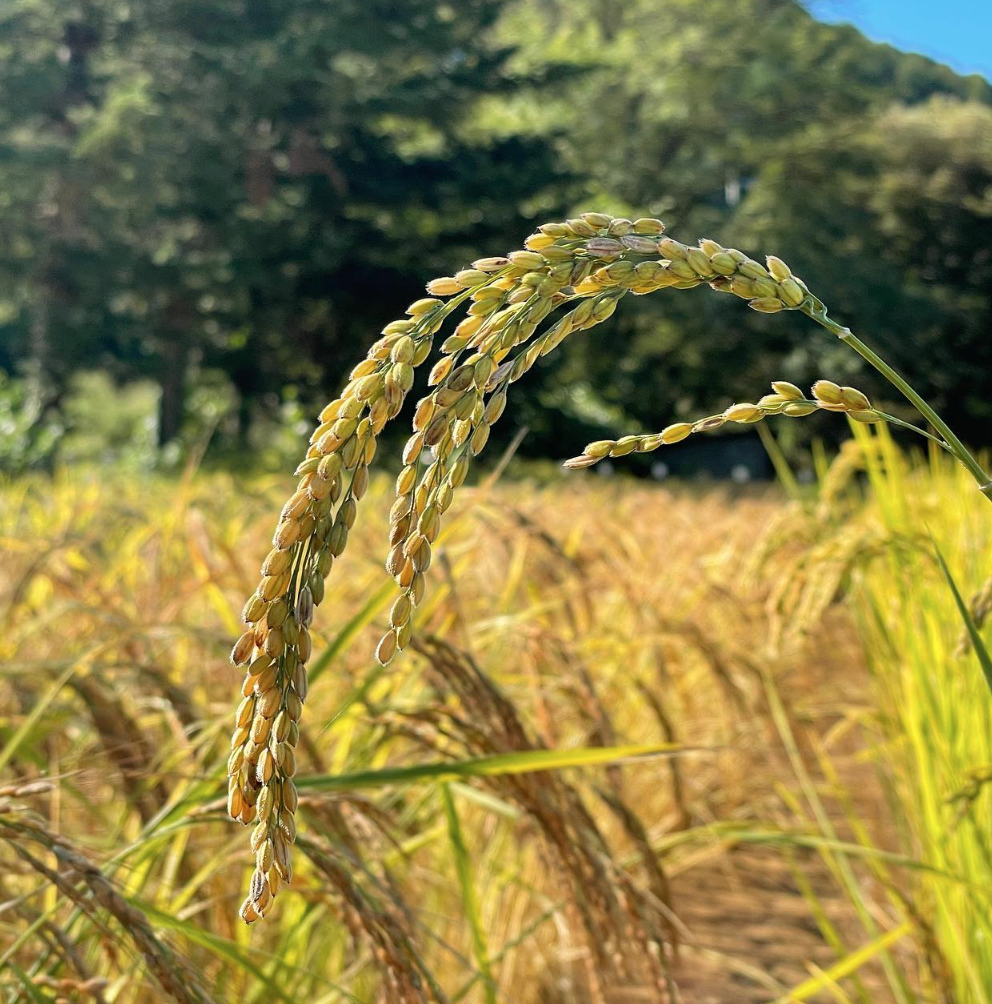 스크린샷 2023-03-12 오전 5.58.42.png