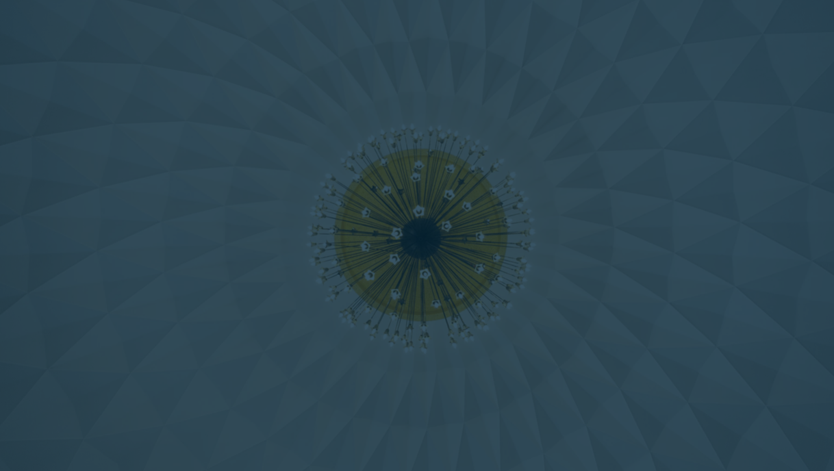 비트코인과 비트코인 캐시