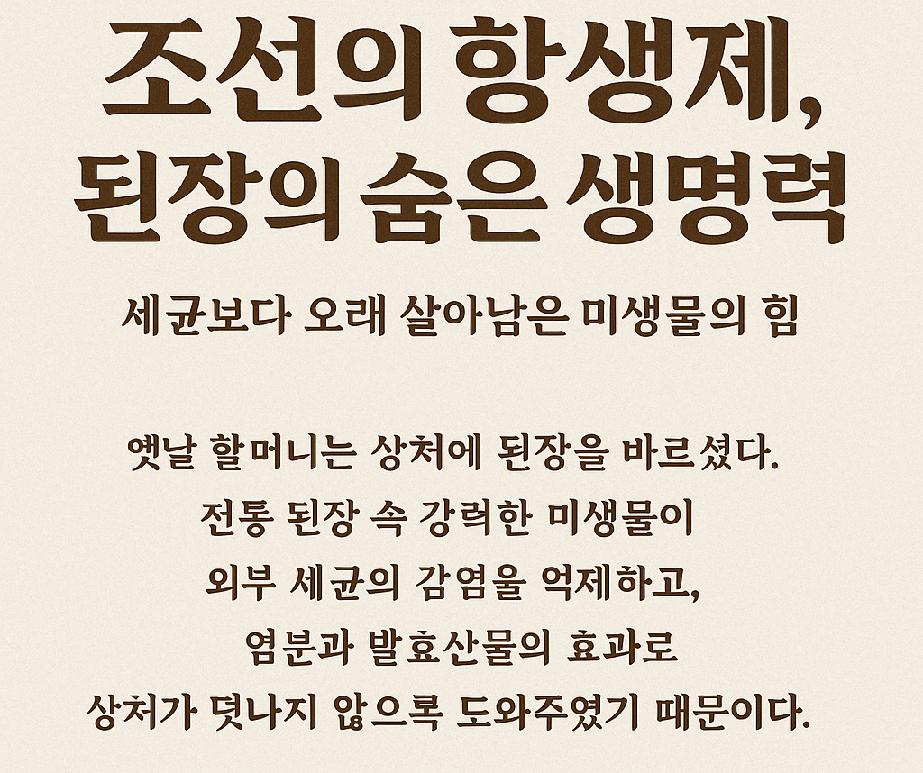 ChatGPT Image 2025년 11월 11일 오후 01_48_06.png