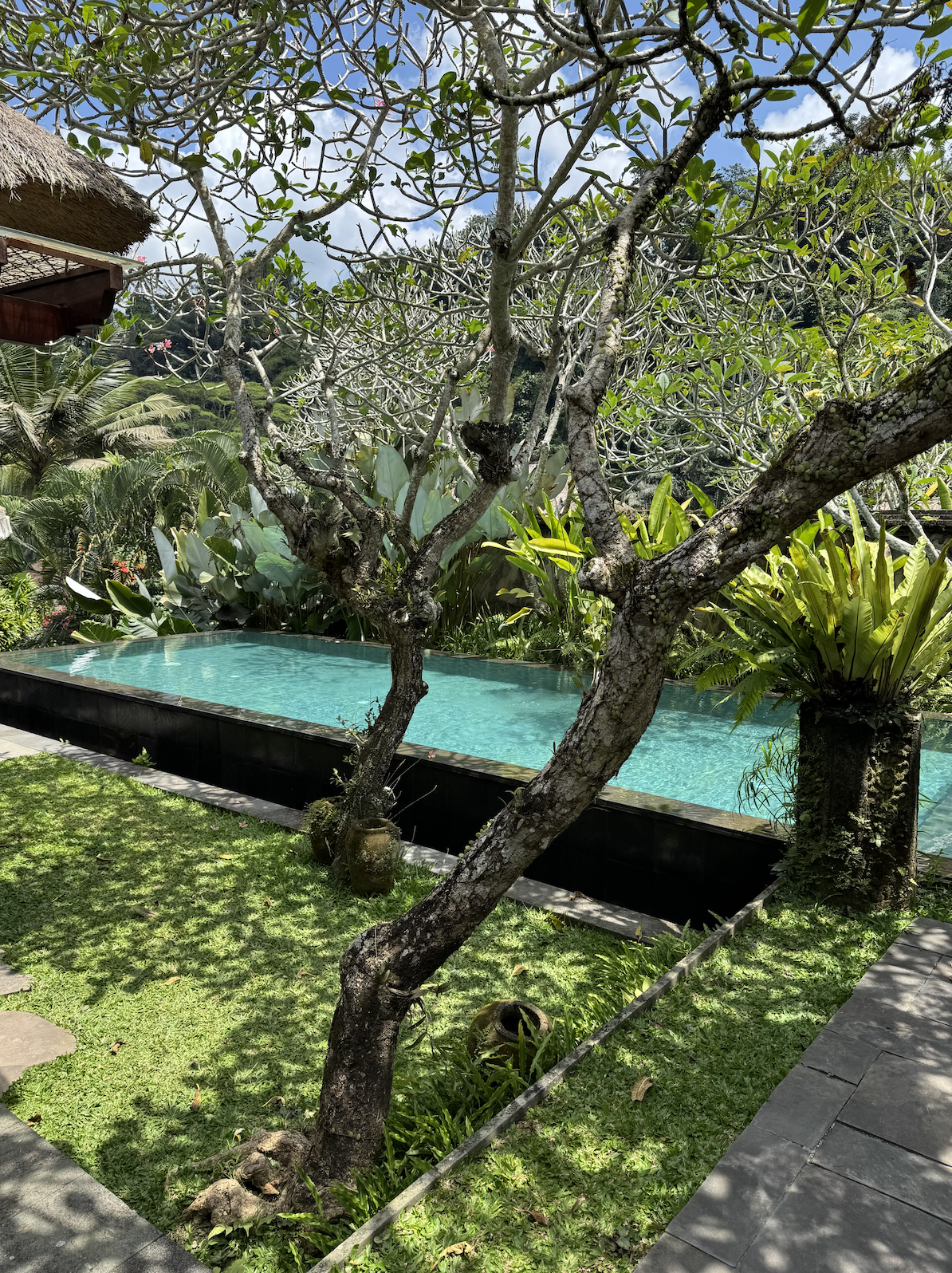 Screenshot 2025-09-15 at 3.57.46 PM.png