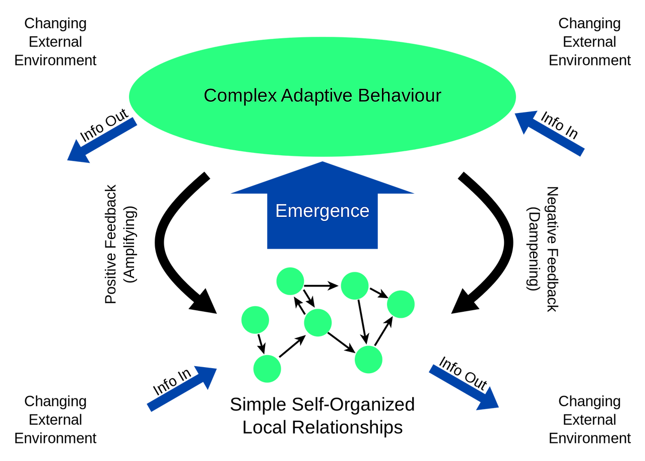 1920px-Complex_adaptive_system.svg.png