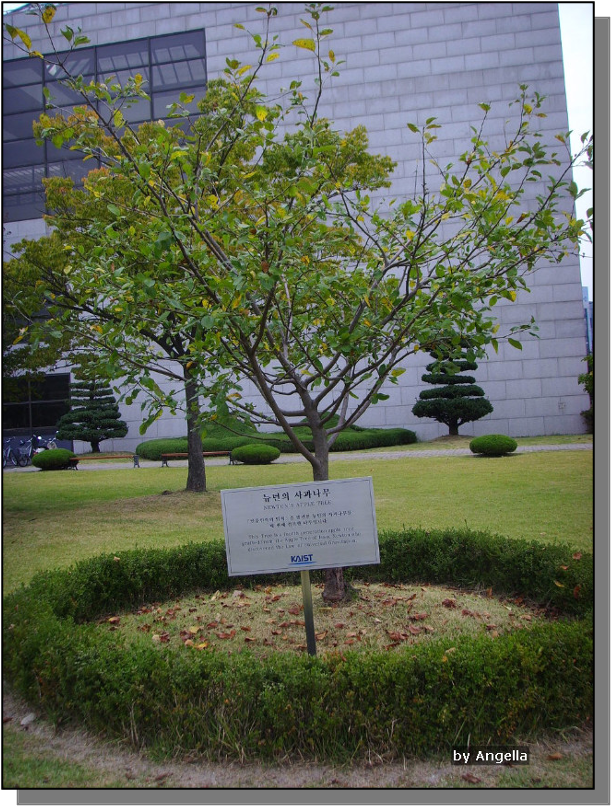 Pasted Graphic 2.png