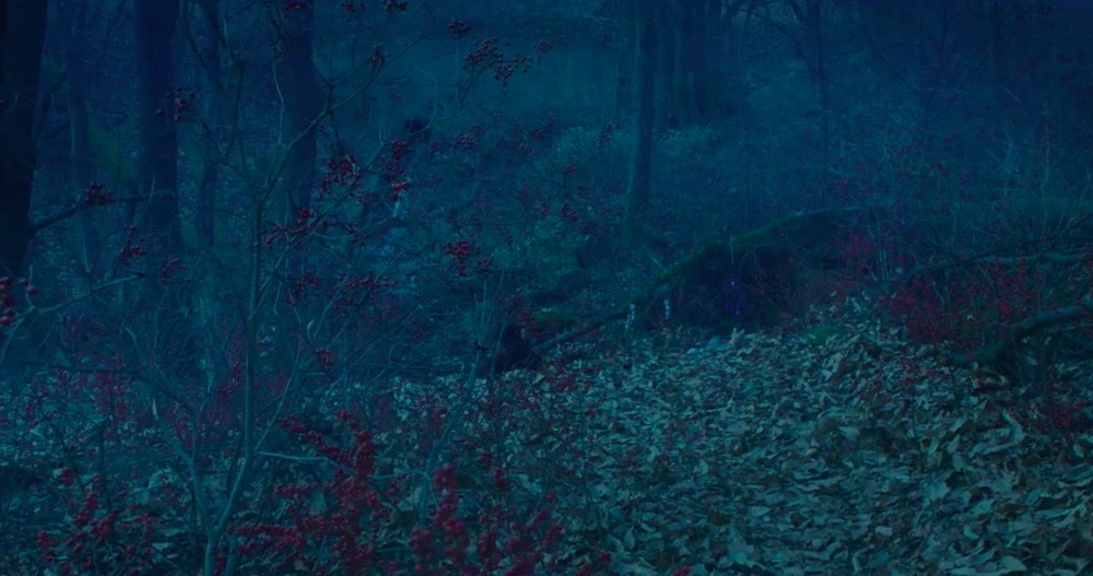 스크린샷 2018-01-31 오전 1.02.28.png