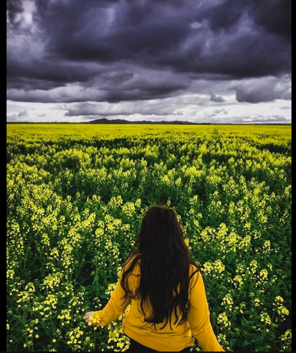 스크린샷 2017-10-16 오전 9.51.44.png