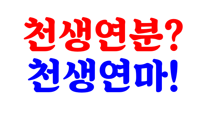 천생연분 천생연마.png