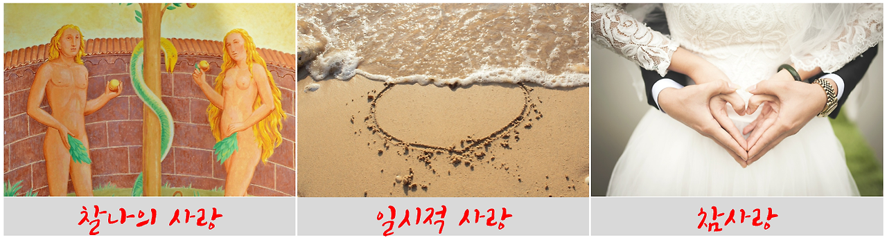 3종류의 사랑 전체.png