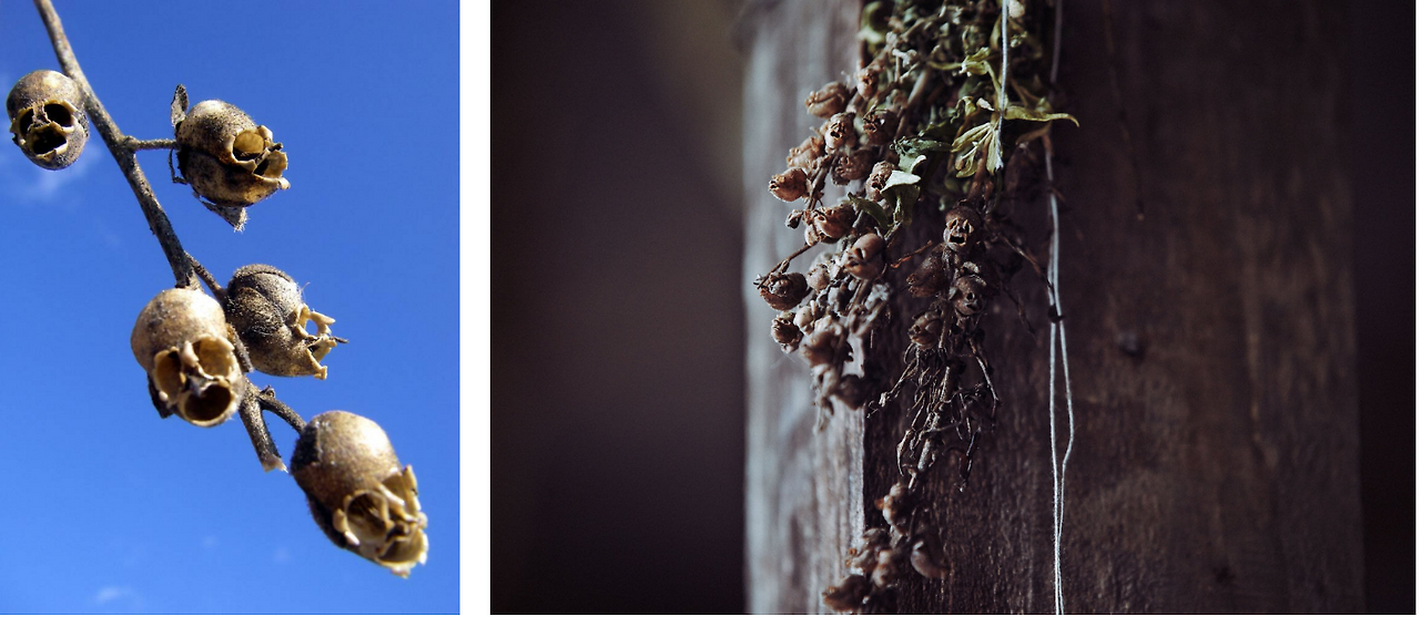 Screenshot 2016-06-30 21.18.49.png