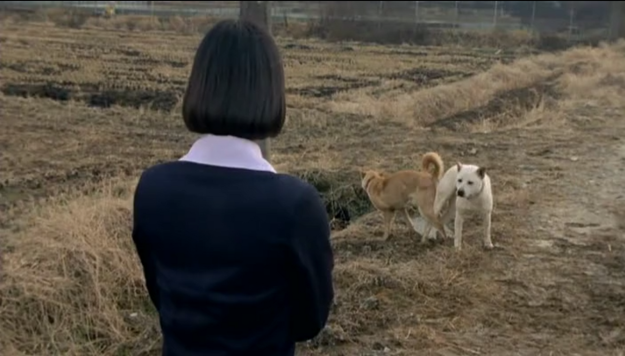 Screenshot 2016-06-18 20.12.40.png