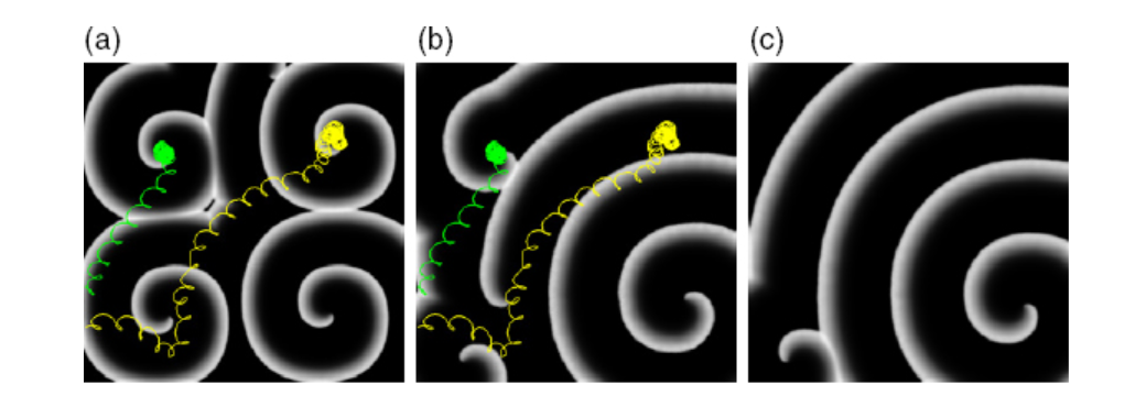 Screenshot 2016-06-26 06.20.02.png