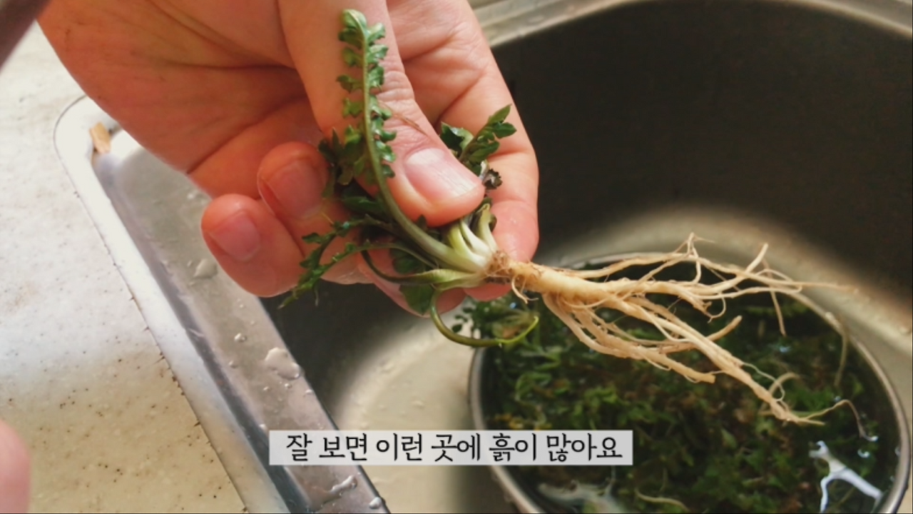 냉이 골뱅이 파스타1 0000019019ms.png