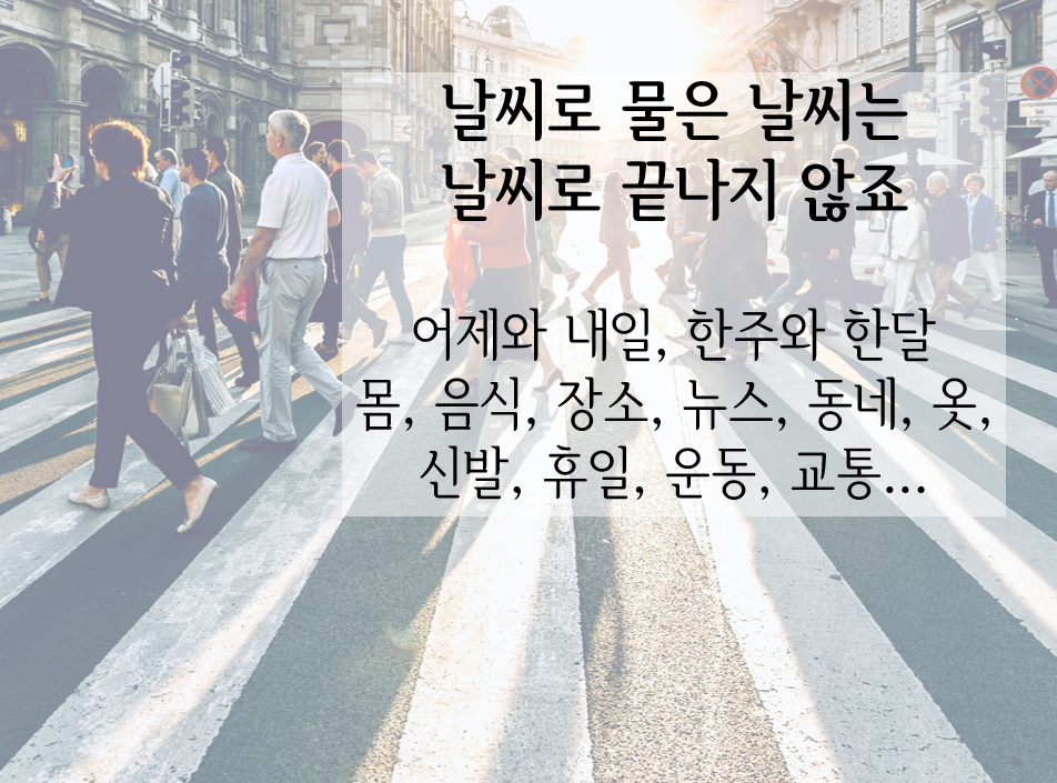 화면 캡처 2025-01-04 235328.png